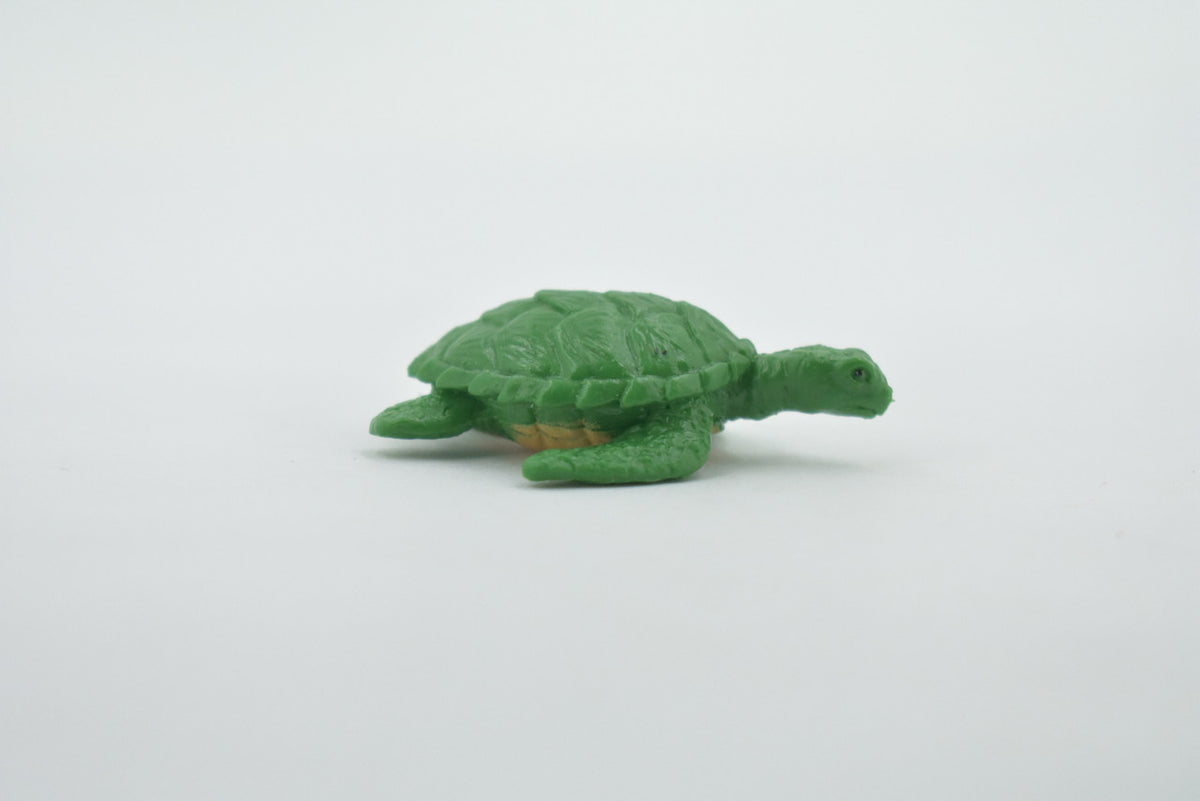 Sea Turtle, Pacific Hawksbill Sea Turtle, Design, Realistic, Figure, Reptile, Educational, Lifelike, Model, Figurine, Replica, Toy, Kids, Gift,      2"      F7006 B35