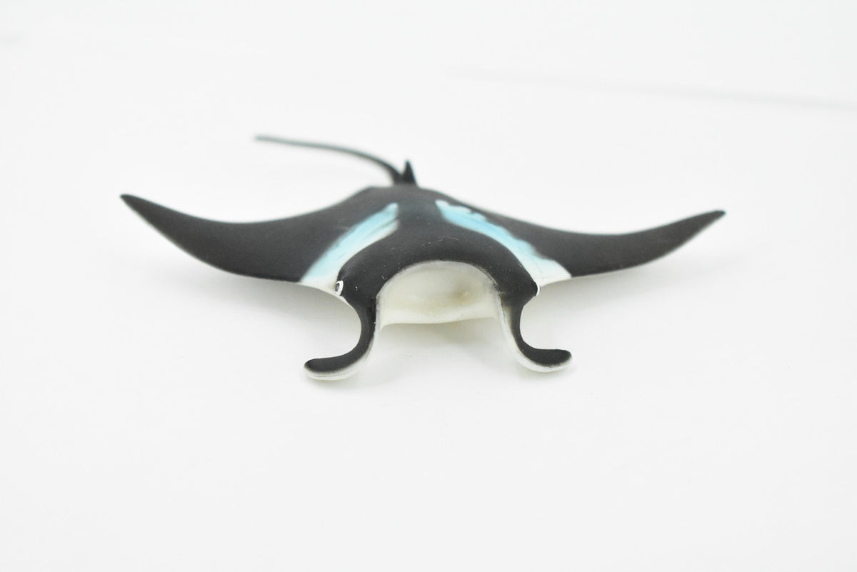 Manta Ray, Devil Fish, Museum Quality, Educational, Rubber Fish, Hand Painted, Realistic Toy Figure, Diorama Model, Kids,   4 Inches.