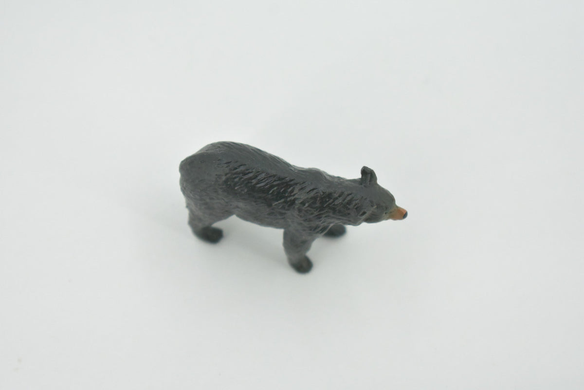 Bear, Black Bear, High Quality, Hand Painted, Rubber, Animal, Realistic, Figure, Model, Replica, Toy, Kids, Educational, Gift,        1 1/ 2"       CH568 BB162