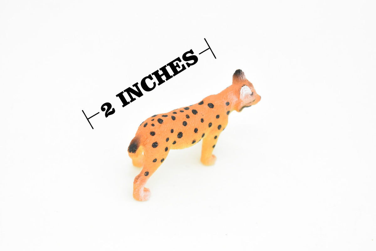 Bobcat, Lynx rufus, North America Wildcat, Very Nice Plastic Animal, Hand Painted, Educational, Realistic, Lifelike, Diorama Model, Toy, Kids,  2 Inches.  