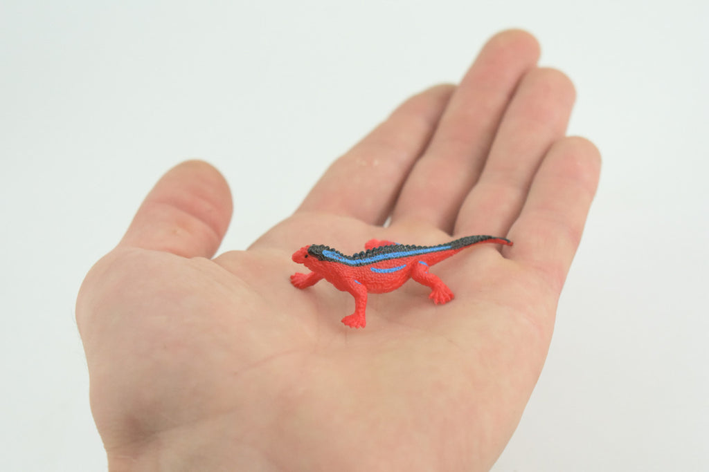 Red Head Agama, Rainbow Lizard, Rubber Reptile, Hand Painted, Educational, Realistic, Model, Replica, Toys, Kids, Gift, 2 1/2 Inches. WR41 B197 