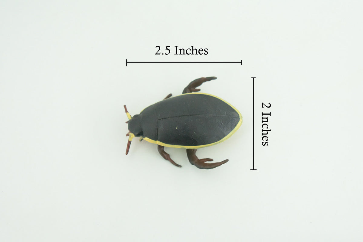 Yellow edged predacious diving beetle, Hand Painted, Museum Quality, Educational, Rubber Insect, Very Realistic, Diorama, Toy, Kids, Gift, 2 1/4 Inches. CH857 BB198