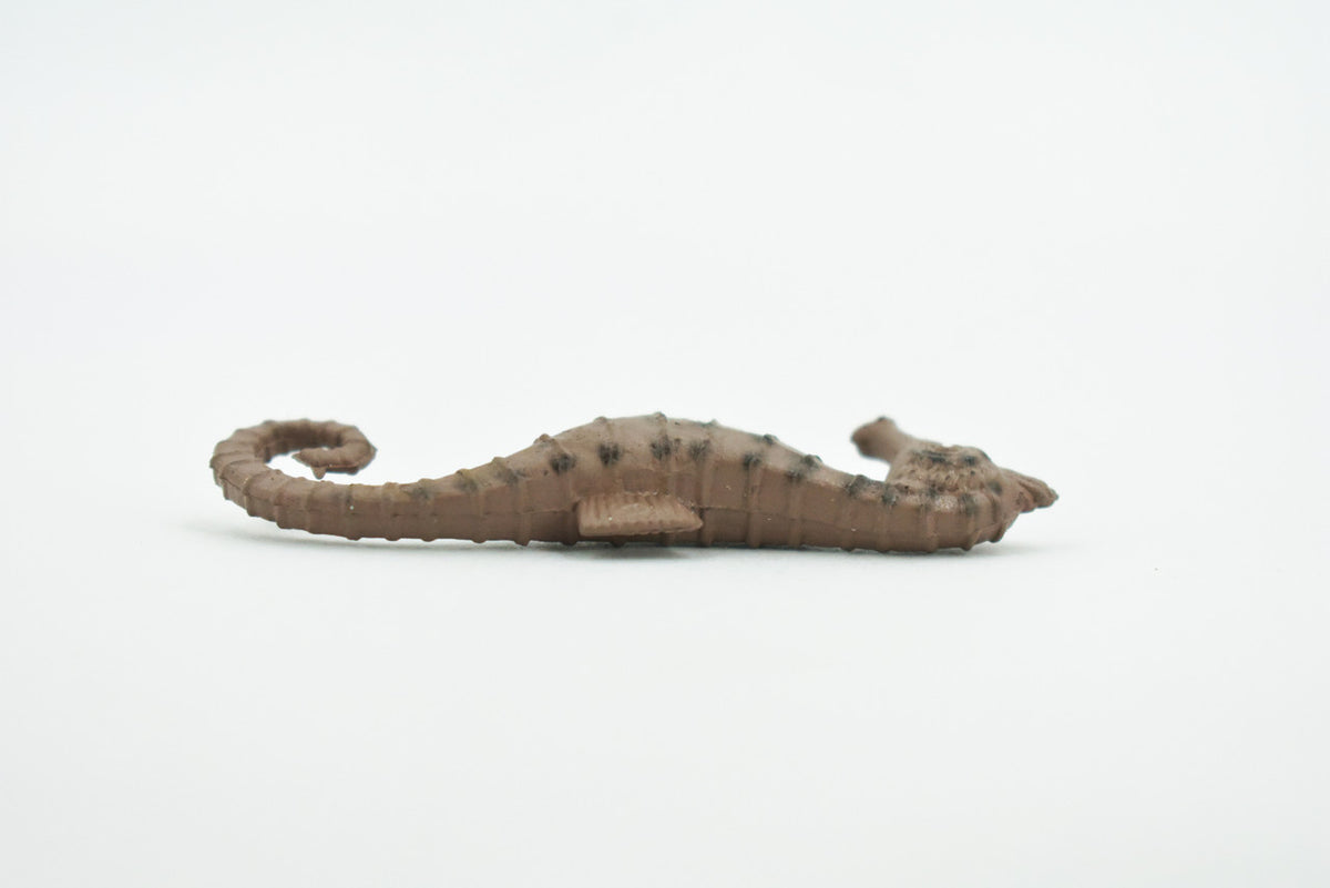 Seahorse, Brown, Hand Painted, Related to Pipefish, and Seadragons, Realistic Rubber, Educational, Figure, Lifelike, Replica, Gift,     2 1/2"     F585 B34