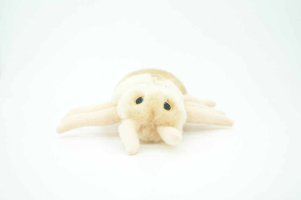 Louse, Pediculus capitis, Head lice, Insect, Parasite, Plush Design, Educational, Figure, Replica, Gift,      8"     F1566 B102