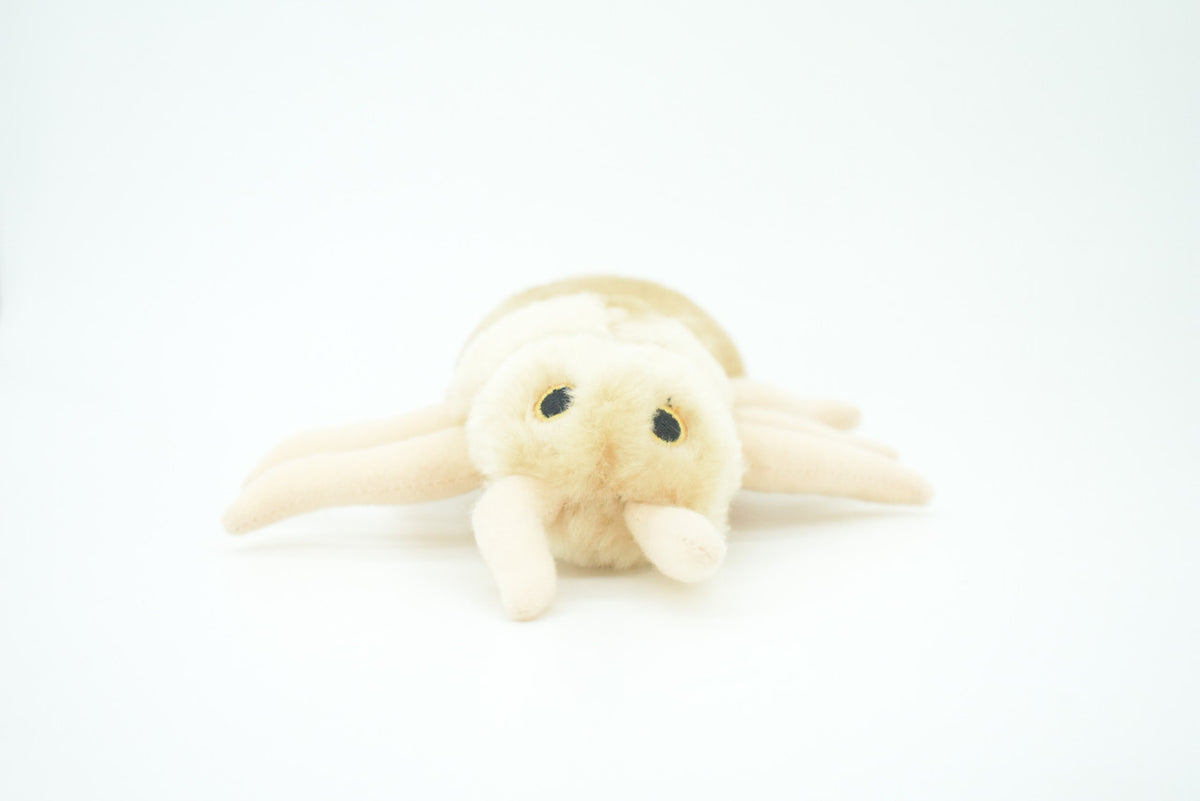Louse, Pediculus capitis, Head lice, Insect, Parasite, Plush Design, Educational, Figure, Replica, Gift,      8"     F1566 B102
