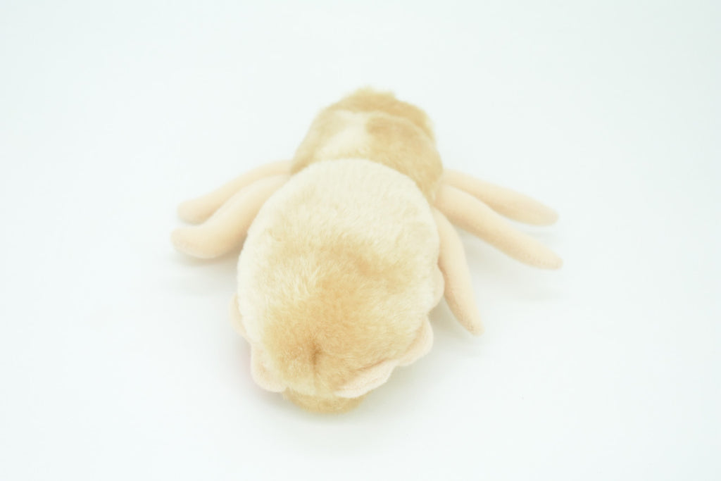 Louse, Pediculus capitis, Head lice, Insect, Parasite, Plush Design, Educational, Figure, Replica, Gift,      8"     F1566 B102