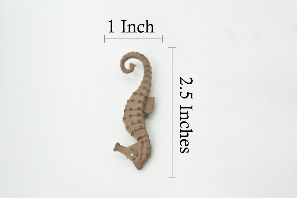 Seahorse, Brown, Hand Painted, Related to Pipefish, and Seadragons, Realistic Rubber, Educational, Figure, Lifelike, Replica, Gift,     2 1/2" 