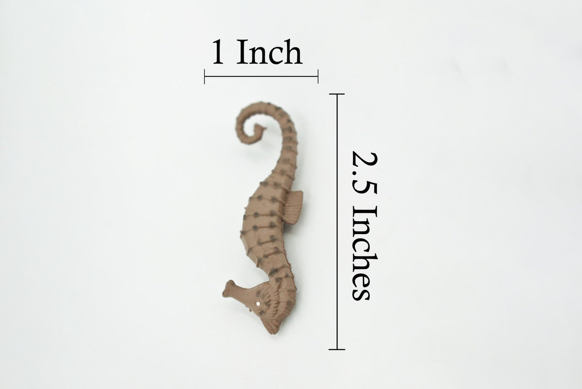 Seahorse, Brown, Hand Painted, Related to Pipefish, and Seadragons, Realistic Rubber, Educational, Figure, Lifelike, Replica, Gift,     2 1/2" 