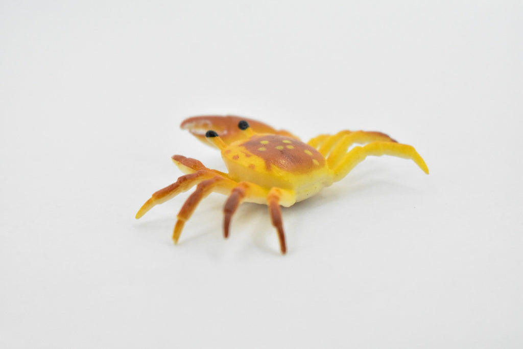 Crab, Fiddler Crab, Rubber, Crustaceans, Educational, Realistic, Hand Painted, Figure, Lifelike Figurine, Replica, Gift,       2"         F935 B157
