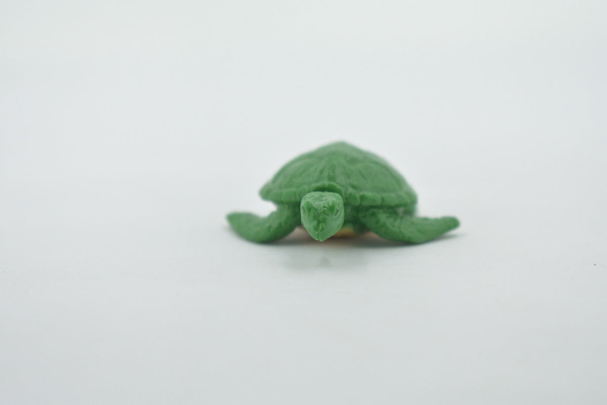 Sea Turtle, Pacific Hawksbill Sea Turtle, Design, Realistic, Figure, Reptile, Educational, Lifelike, Model, Figurine, Replica, Toy, Kids, Gift,      2"      F7006 B35