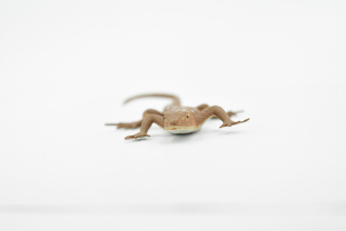 Iguana, Desert Iguana, Lizard, Rubber Reptile, Toy, Educational, Realistic, Figure, Lifelike Model, Figurine, Replica, Gift,     5"     F6101 B381