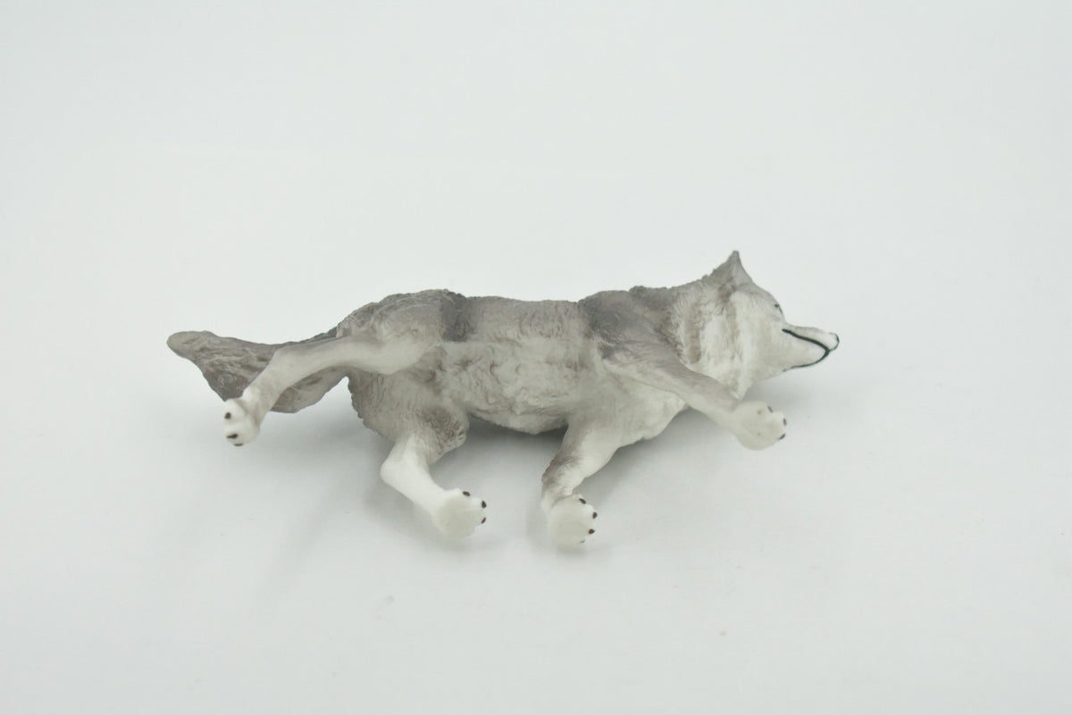 Wolf, Black and Gray, Timber Wolf, Museum Quality, Hand Painted, Rubber Animal, Educational, Realistic, Figure, Toy, Kids, Replica, Gift,        4 1/ 2 "     CH681 BB172
