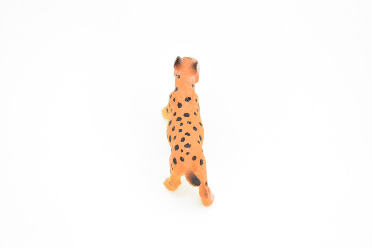 Bobcat, Lynx rufus, North America Wildcat, Very Nice Plastic Animal, Hand Painted, Educational, Realistic, Lifelike, Diorama Model, Toy, Kids, Gift,  2 Inches.     CWG112 B237