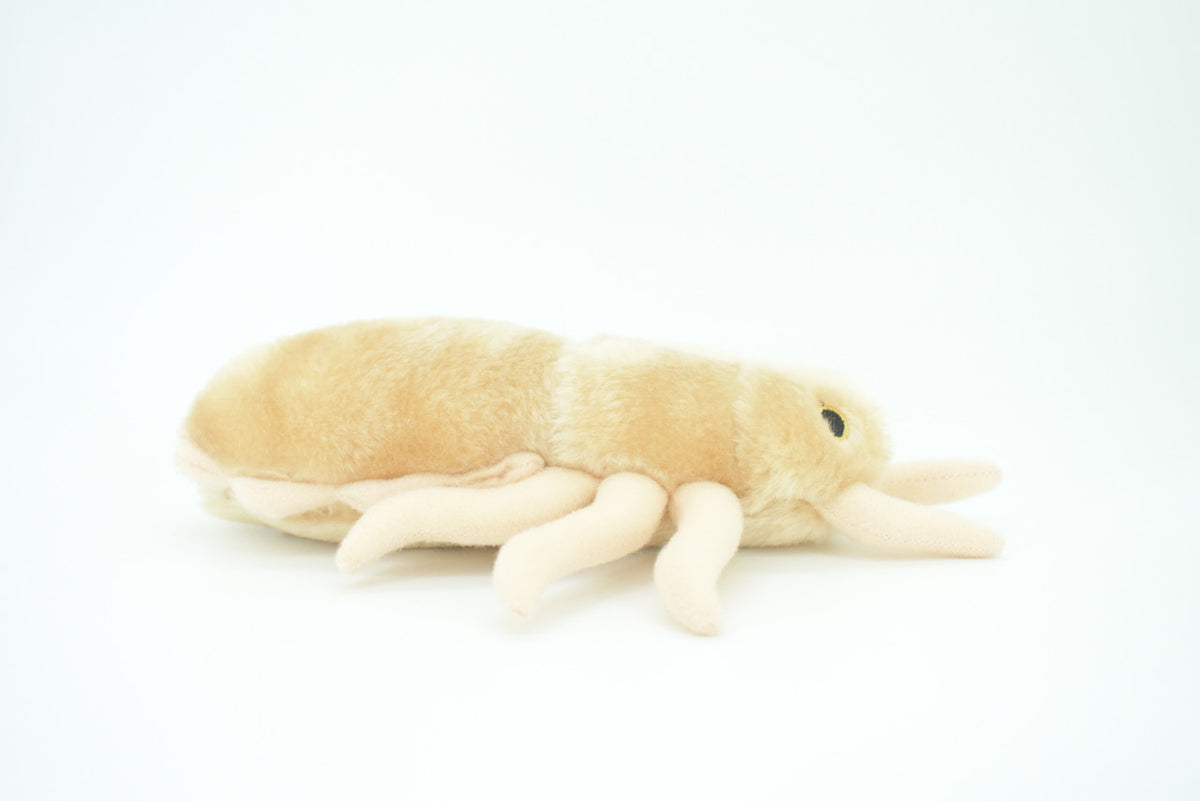Louse, Pediculus capitis, Head lice, Insect, Parasite, Plush Design, Educational, Figure, Replica, Gift,      8"     F1566 B102