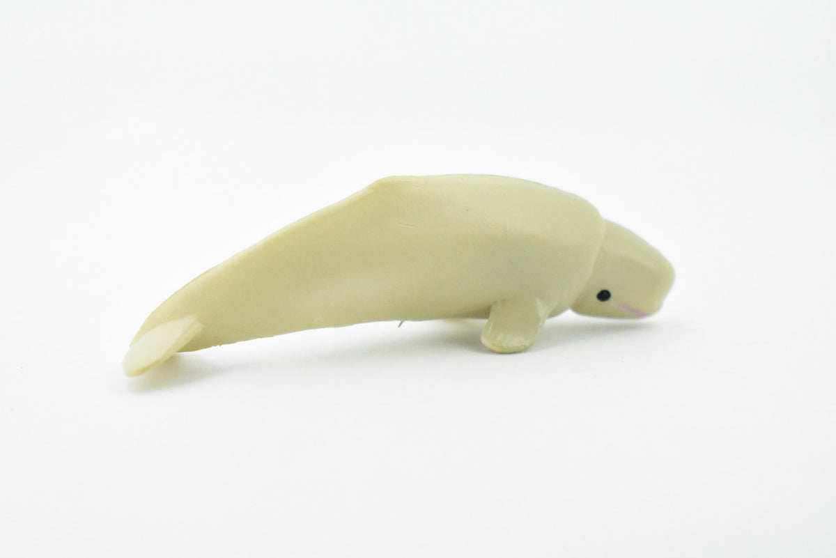 Beluga Whale, Rubber Animal, Realistic Toy Figure, Model, Replica, Kids, Hand Painted, Educational, Gift,      3"        CH415 BB108