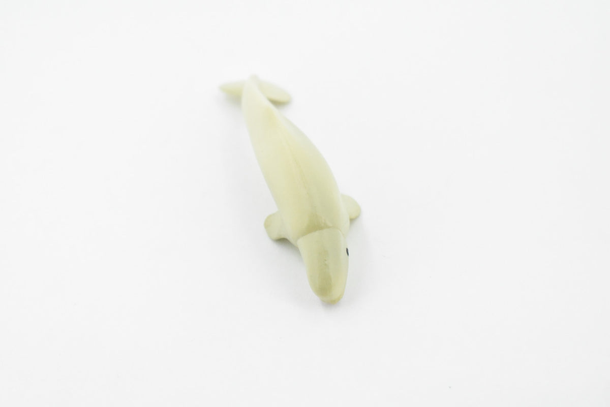 Beluga Whale, Rubber Animal, Realistic Toy Figure, Model, Replica, Kids, Hand Painted, Educational, Gift,      3"        CH415 BB108
