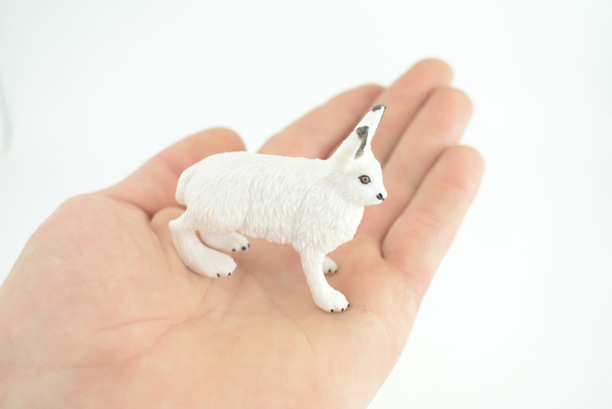Rabbit, Arctic Hare, Hand Painted, Museum Quality, Rubber Animal, Educational, Realistic, Figure, Toy, Kids, Replica, Gift, 2 1/2 Inches. CH876 BB199