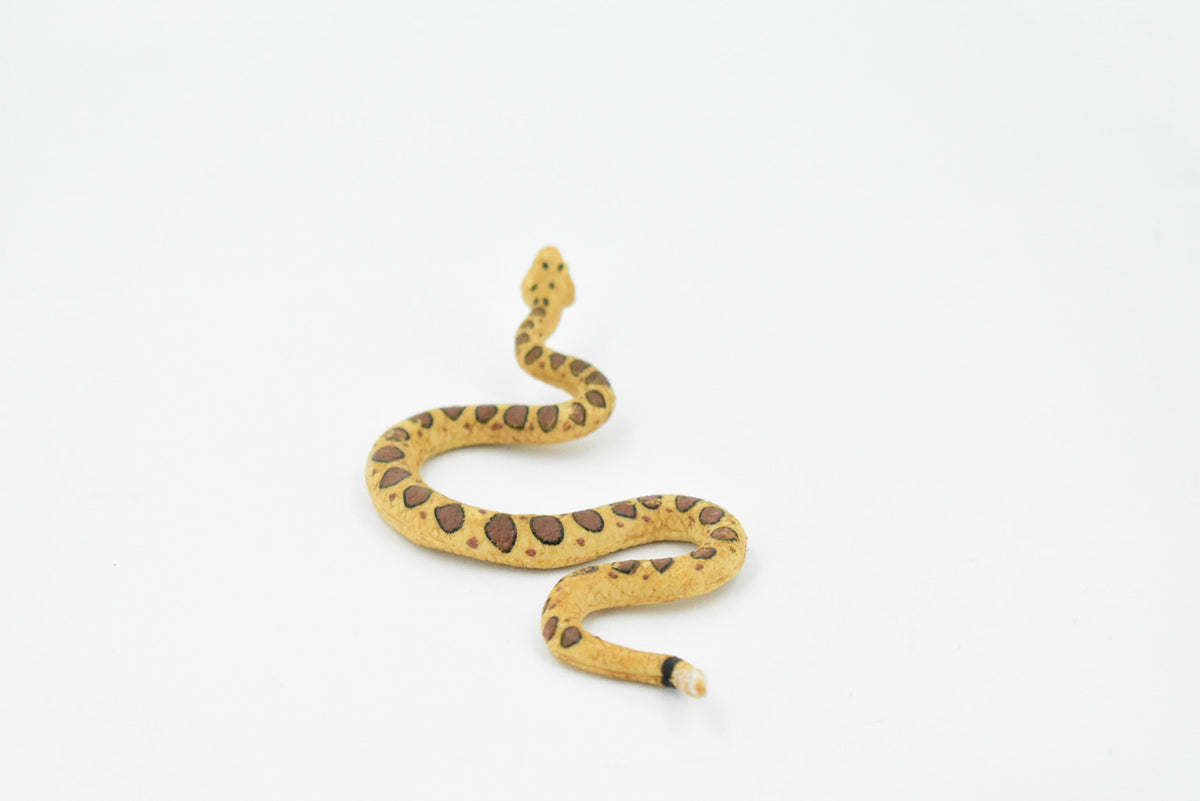 Snake, Rattlesnake, Diamondback, Museum Quality, Rubber Reptile, Hand Painted, Realistic Toy Figure, Model, Replica, Kids, Educational, Gift,      5"    CH472 BB152