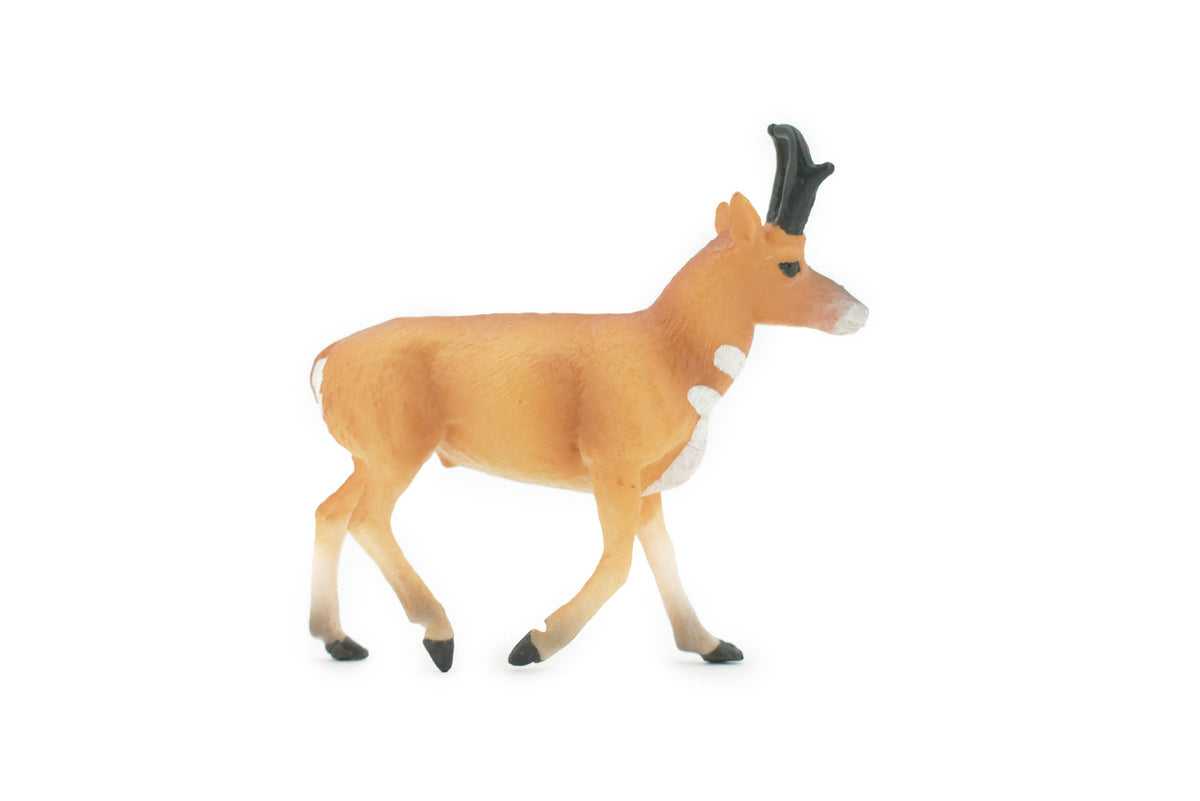 Antelope, American Pronghorn, Museum Quality, Hand Painted, Rubber Animal, Realistic, Figure, Model, Replica, Toy, Kids, Educational, Gift,     4"     CH509 BB156