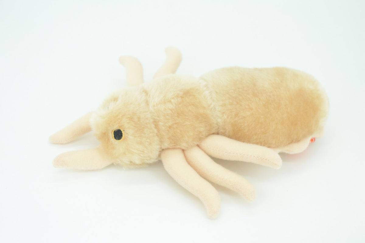 Louse, Pediculus capitis, Head lice, Insect, Parasite, Plush Design, Educational, Figure, Replica, Gift,      8"     F1566 B102