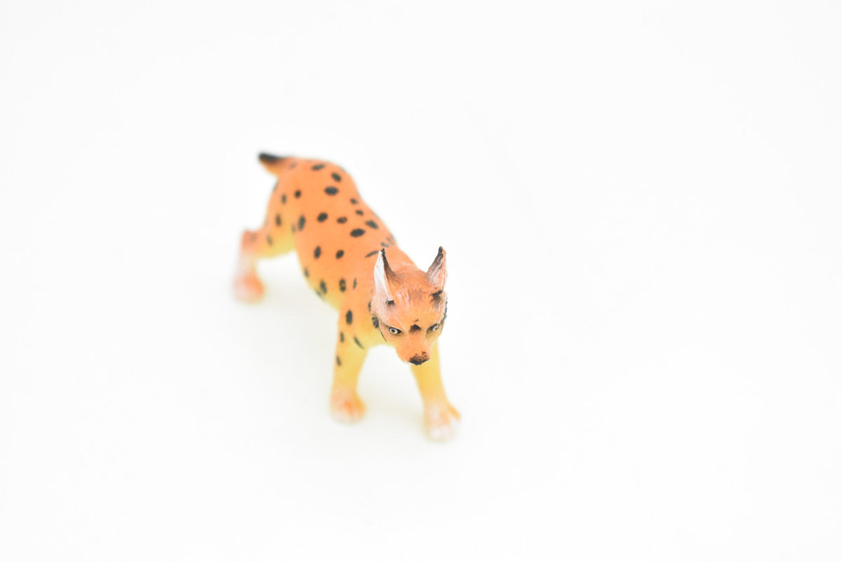 Bobcat, Lynx rufus, North America Wildcat, Very Nice Plastic Animal, Hand Painted, Educational, Realistic, Lifelike, Diorama Model, Toy, Kids, Gift,  2 Inches.     CWG112 B237