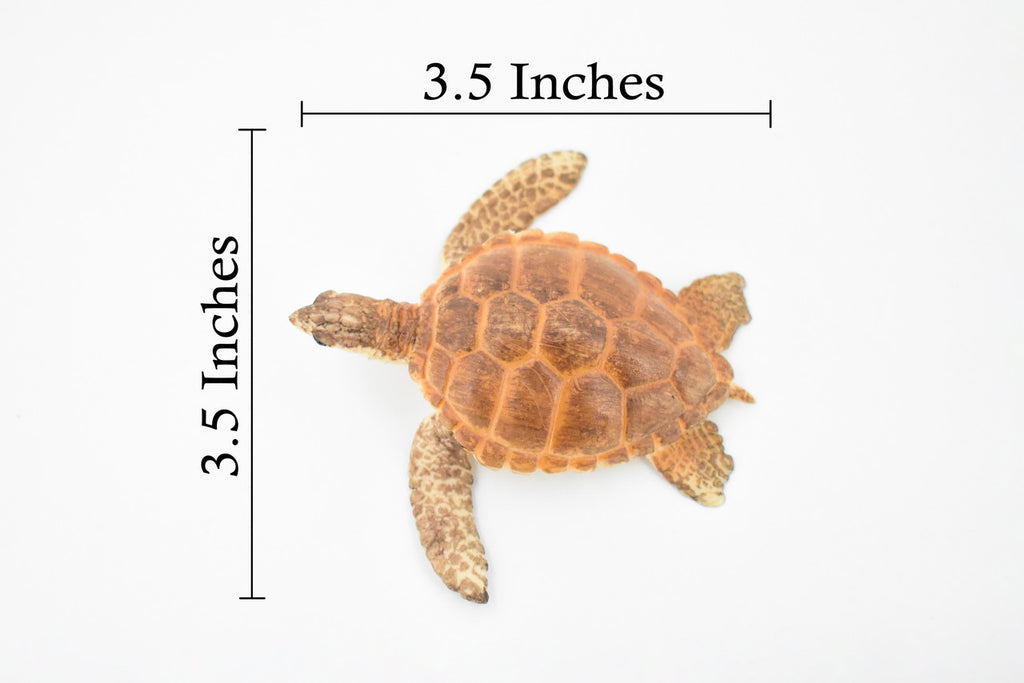 Turtle, Loggerhead Sea Turtle, Museum Quality, Hand Painted, Rubber Reptile, Realistic Toy Figure, Model, Replica, Kids, Educational, Gift,     3 1/2"     CH291 BB128