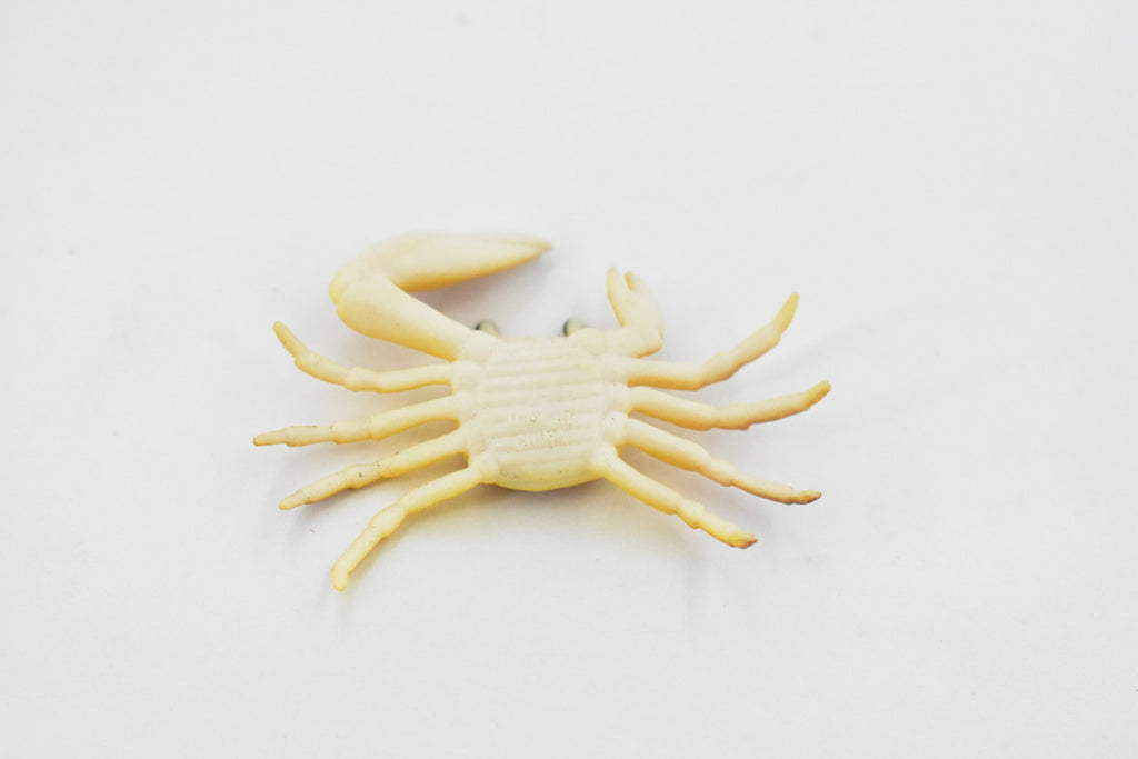 Crab, Fiddler Crab, Rubber, Crustaceans, Educational, Realistic, Hand Painted, Figure, Lifelike Figurine, Replica, Gift,       2"         F935 B157