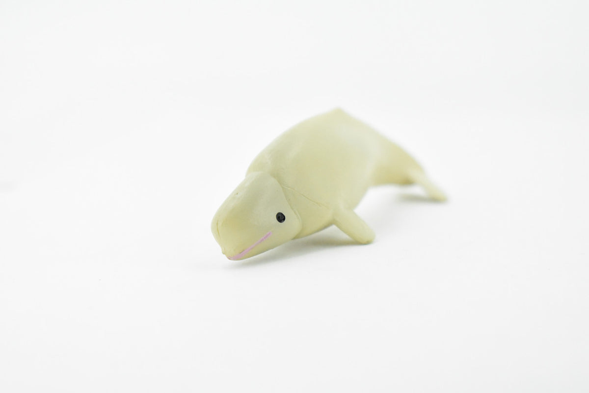 Beluga Whale, Rubber Animal, Realistic Toy Figure, Model, Replica, Kids, Hand Painted, Educational, Gift,      3"        CH415 BB108