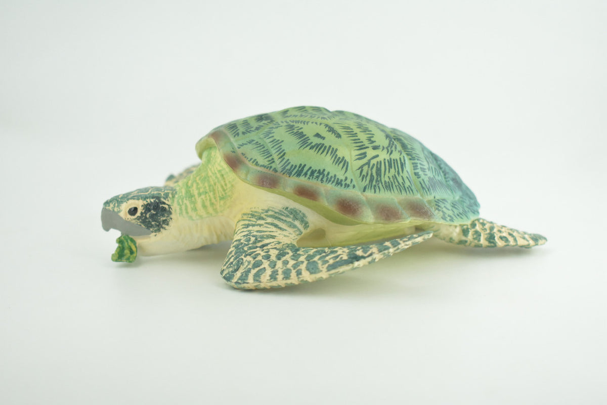 Green Sea Turtle, Museum Quality, Hand Painted, Rubber Reptile, Realistic, Diorama, Model, Replica, Toy, Kids, Educational, Gift,    6 1/2 Inches.   CH1006 BB219
