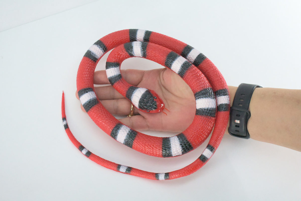 Scarlet Snake, Very Nice Rubber Reptile Design, Educational, Toy, Kids, Realistic Figure, Lifelike, Replica, Gift,    42"   WR29 BB316