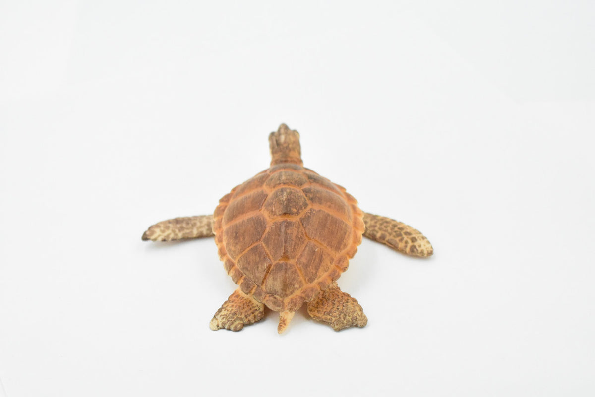 Turtle, Loggerhead Sea Turtle, Museum Quality, Hand Painted, Rubber Reptile, Realistic Toy Figure, Model, Replica, Kids, Educational, Gift,     3 1/2"     CH291 BB128