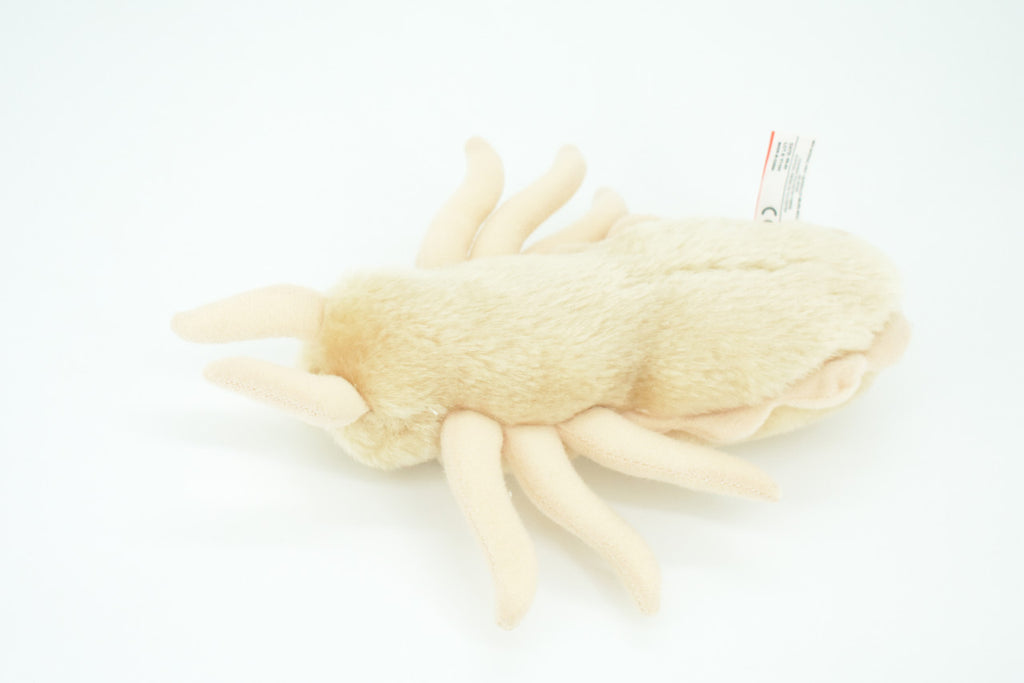 Louse, Pediculus capitis, Head lice, Insect, Parasite, Plush Design, Educational, Figure, Replica, Gift,      8"     F1566 B102