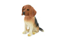 Beagle, Hound Dog, Rubber Canine, Hand Painted, Realistic Toy Figure, Model, Replica, Kids, Educational, Gift,      3"     CH230 BB119