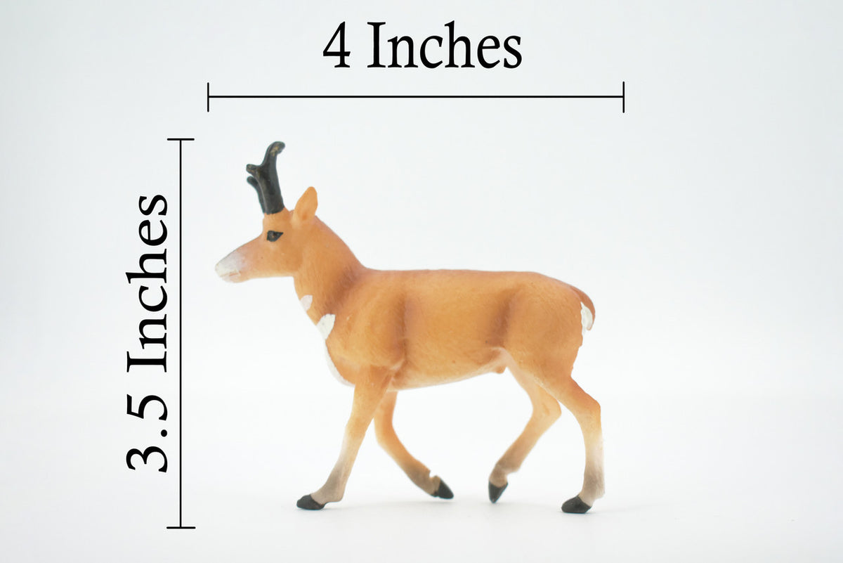 Antelope, American Pronghorn, Museum Quality, Hand Painted, Rubber Animal, Realistic, Figure, Model, Replica, Toy, Kids, Educational, Gift,     4"     CH509 BB156