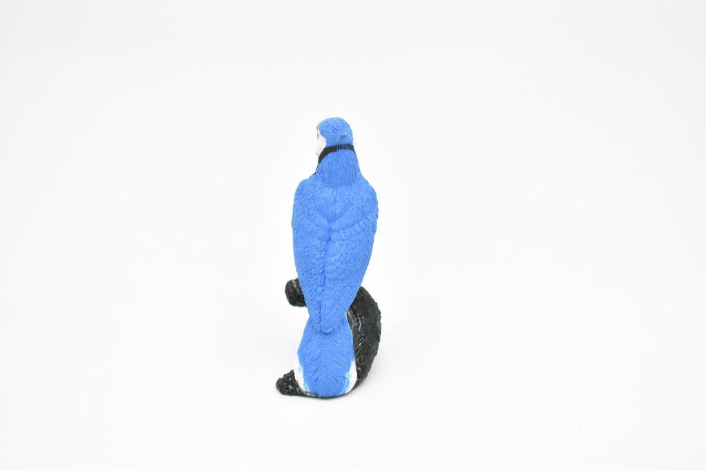 Blue Jay,  Rubber Bird, Educational, Realistic, Hand Painted, Figure, Lifelike Model, Figurine, Replica, Gift,    2 1/2"     F3388 B27