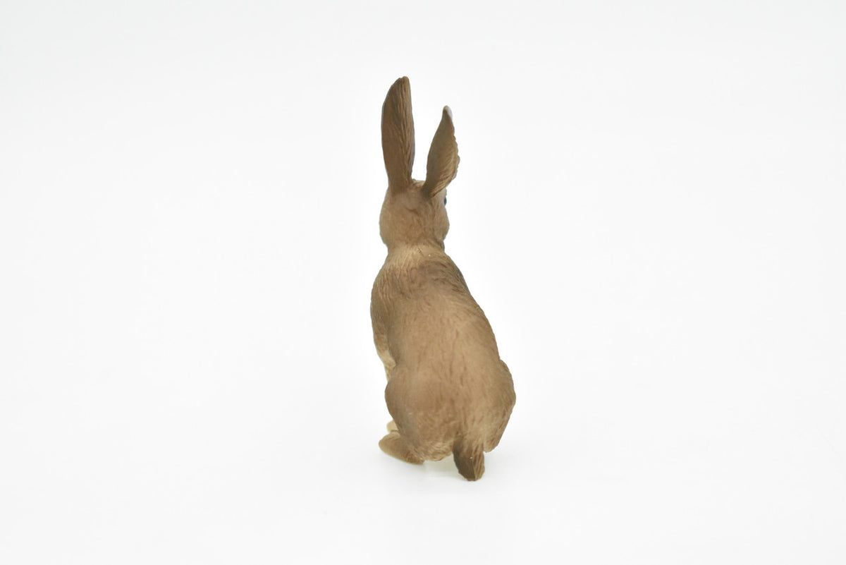 Jackrabbit, Hare, Very Realistic Rubber Figure, Hand Painted, Rubber Mammal, Realistic Toy Figure, Replica, Kids, Educational, Gift,   2 1/2 Inches.    CH066 BB79
