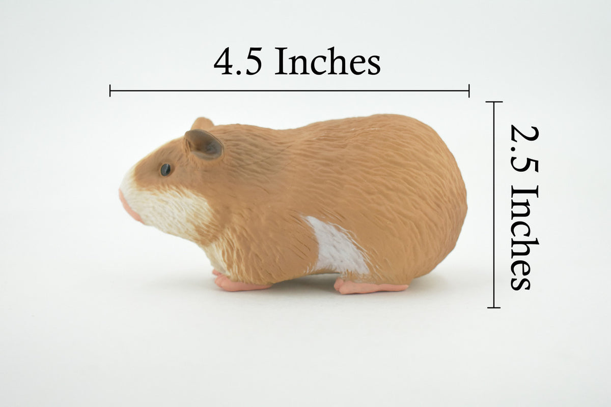 Guinea Pig, Domesticated Rodent, High Quality, Rubber Animal, Hand Painted, Realistic, Toy, Figure, Model, Replica, Kids, Educational, Gift,      4 1/ 2 "     CH680 BB172