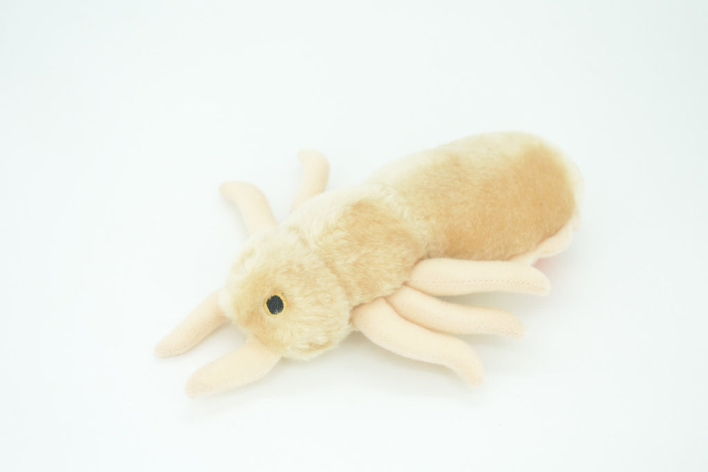 Louse, Pediculus capitis, Head lice, Insect, Parasite, Plush Design, Educational, Figure, Replica, Gift,      8"     F1566 B102