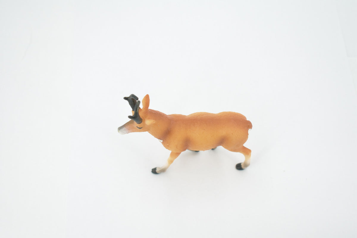 Antelope, American Pronghorn, Museum Quality, Hand Painted, Rubber Animal, Realistic, Figure, Model, Replica, Toy, Kids, Educational, Gift,     4"     CH509 BB156
