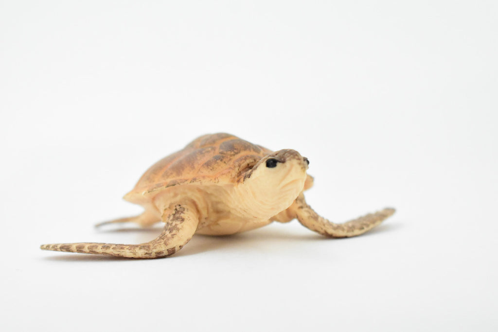 Turtle, Loggerhead Sea Turtle, Museum Quality, Hand Painted, Rubber Reptile, Realistic Toy Figure, Model, Replica, Kids, Educational, Gift,     3 1/2"     CH291 BB128