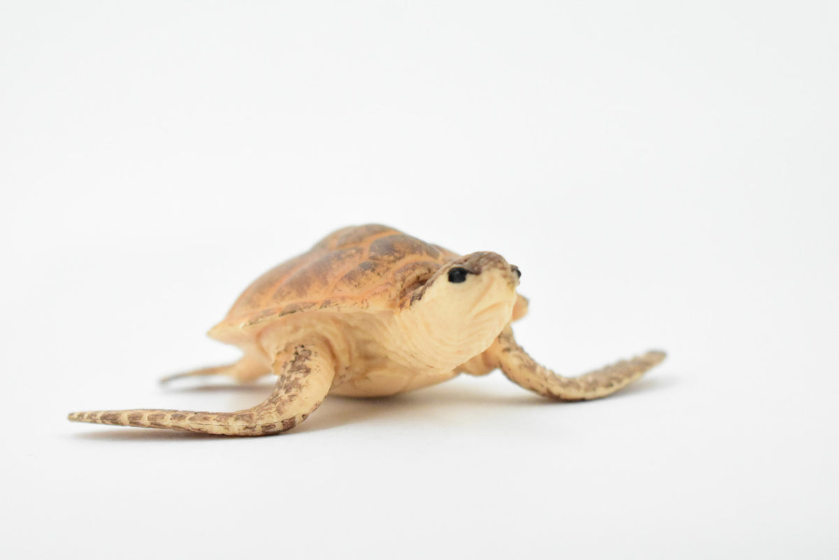 Turtle, Loggerhead Sea Turtle, Museum Quality, Hand Painted, Rubber Reptile, Realistic Toy Figure, Model, Replica, Kids, Educational, Gift,     3 1/2"     CH291 BB128