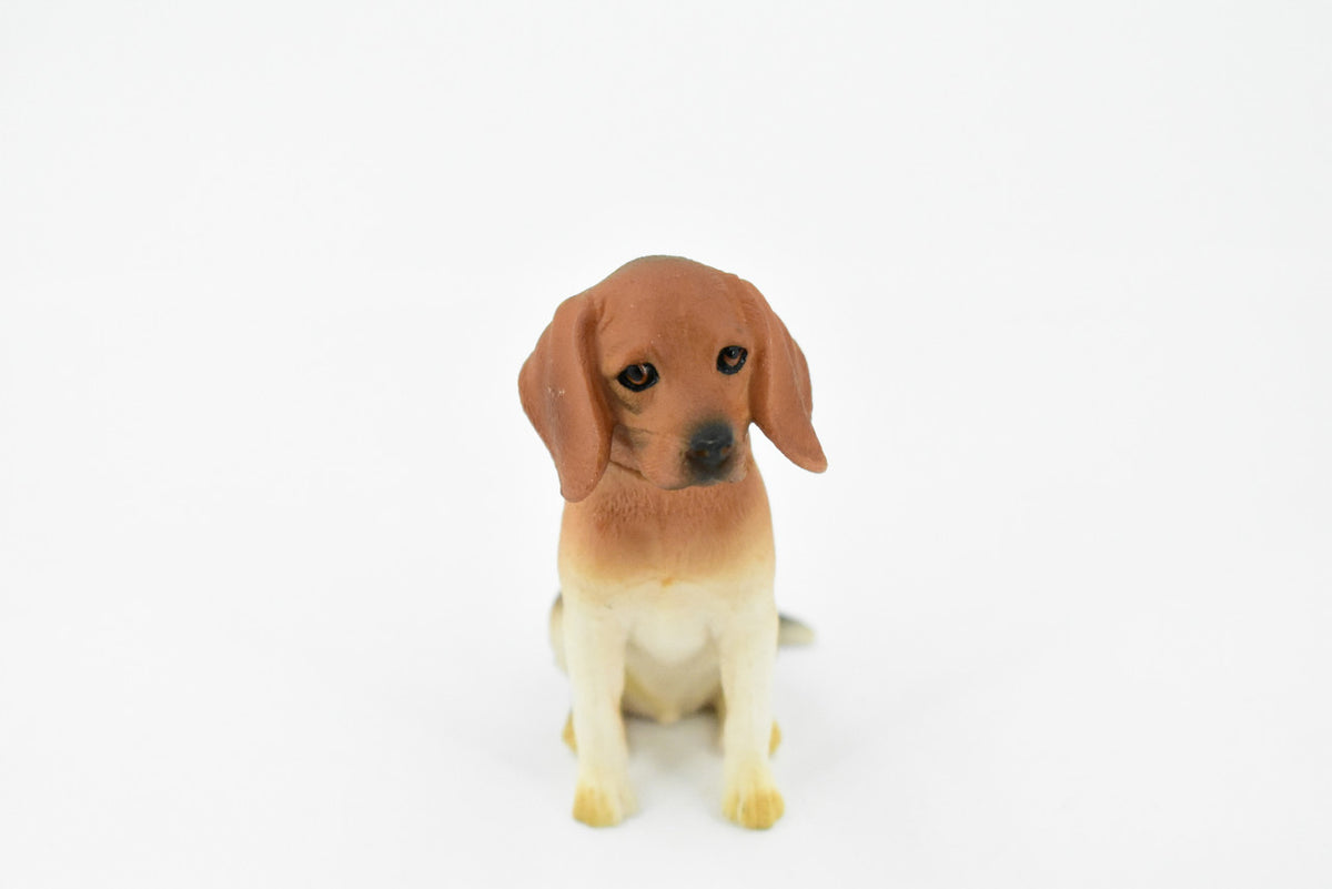 Beagle, Hound Dog, Rubber Canine, Hand Painted, Realistic Toy Figure, Model, Replica, Kids, Educational, Gift,      3"     CH230 BB119