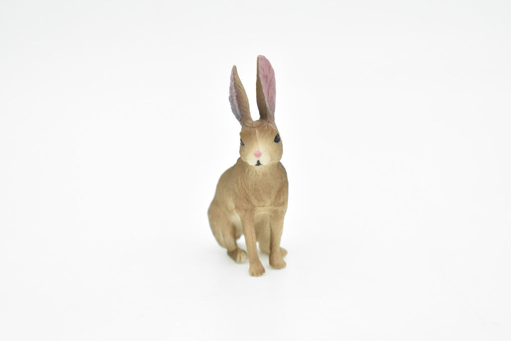 Jackrabbit, Hare, Very Realistic Rubber Figure, Hand Painted, Rubber Mammal, Realistic Toy Figure, Replica, Kids, Educational,  2 1/2 Inches. 