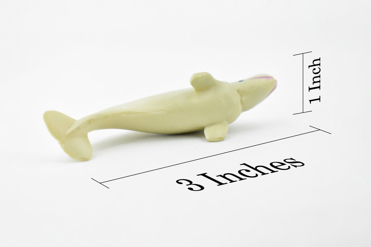 Beluga Whale, Rubber Animal, Realistic Toy Figure, Model, Replica, Kids, Hand Painted, Educational, Gift,      3"        CH415 BB108
