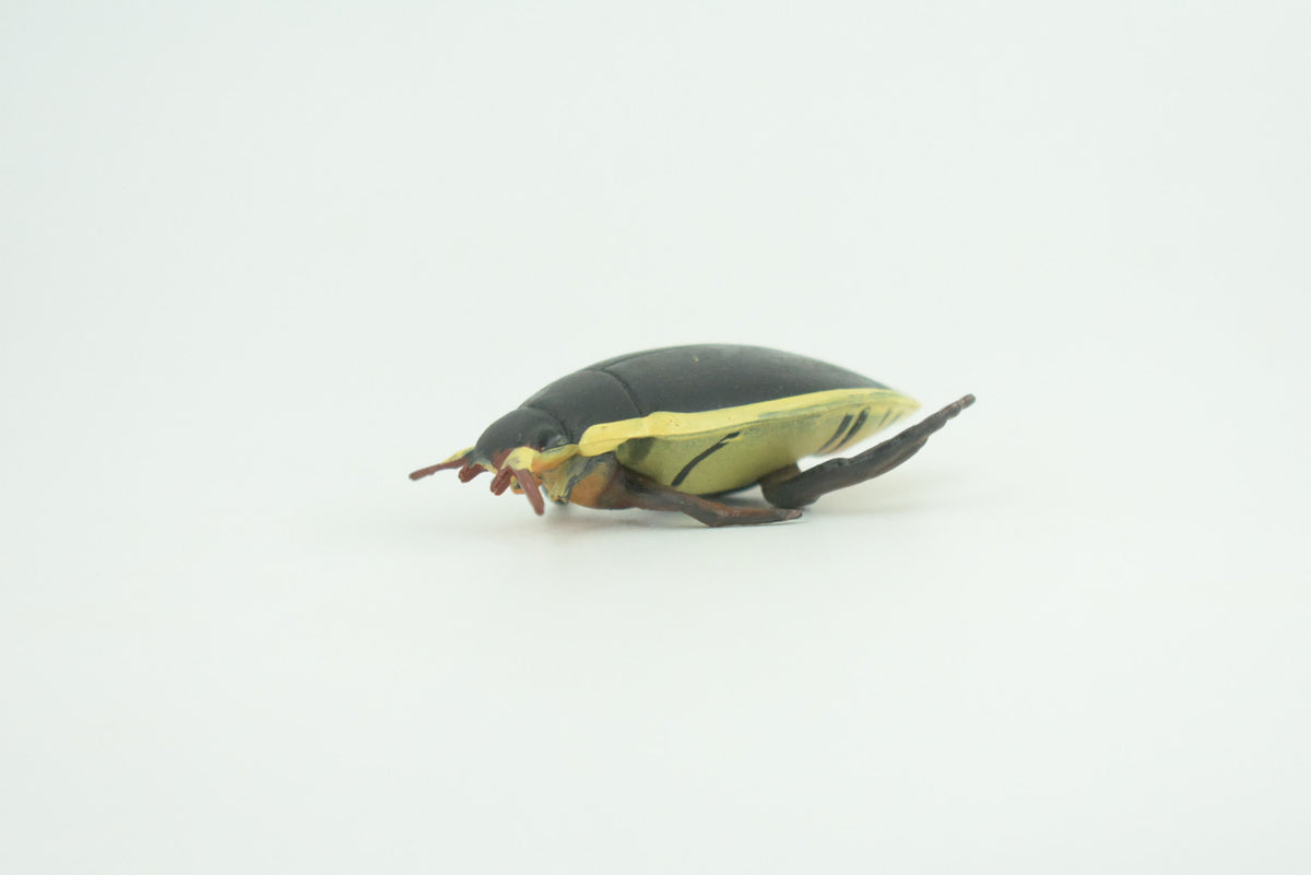 Yellow edged predacious diving beetle, Hand Painted, Museum Quality, Educational, Rubber Insect, Very Realistic, Diorama, Toy, Kids, Gift,   2 1/4 Inches.  CH857 BB198