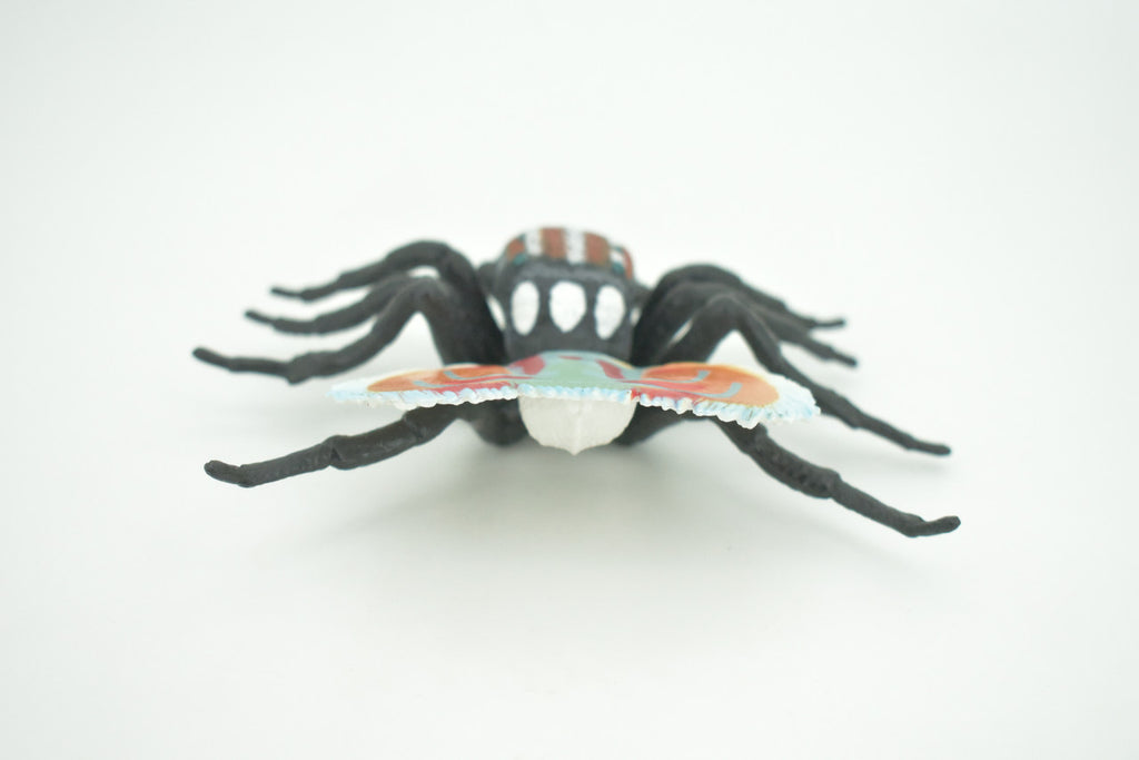 Peacock Spider, Jumping Spiders, Maratus, Museum Quality, Hand Painted, Realistic, Rubber, Insect, Figure, Model, Toy, Kids, Educational, Gift    4 1/2"    CH281 BB177
