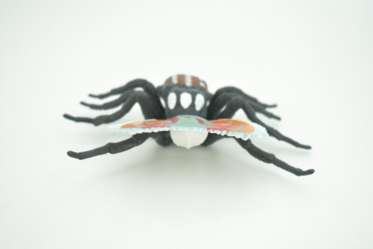 Peacock Spider, Jumping Spiders, Maratus, Museum Quality, Hand Painted, Realistic, Rubber, Insect, Figure, Model, Toy, Kids, Educational, Gift    4 1/2"    CH281 BB177