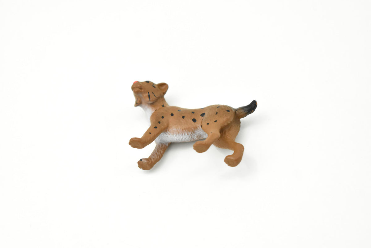 Bobcat, Cub, Nice Rubber Animal, Educational, Realistic Cat, Hand Painted, Figure, Lifelike Model, Figurine, Replica, Gift,     2 Inchs      F1511 B103