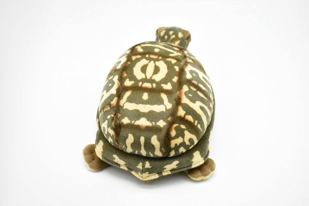 Box Turtle Plush Toy, Realistic Stuffed Animal, Tortoise, Turtle, Stuffed Turtle, Educational, Plush Realistic Figure, Lifelike Model, Soft Plush Turtle   12"   F4001 BB53