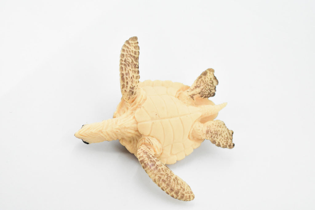 Turtle, Loggerhead Sea Turtle, Museum Quality, Hand Painted, Rubber Reptile, Realistic Toy Figure, Model, Replica, Kids, Educational, Gift,     3 1/2"     CH291 BB128